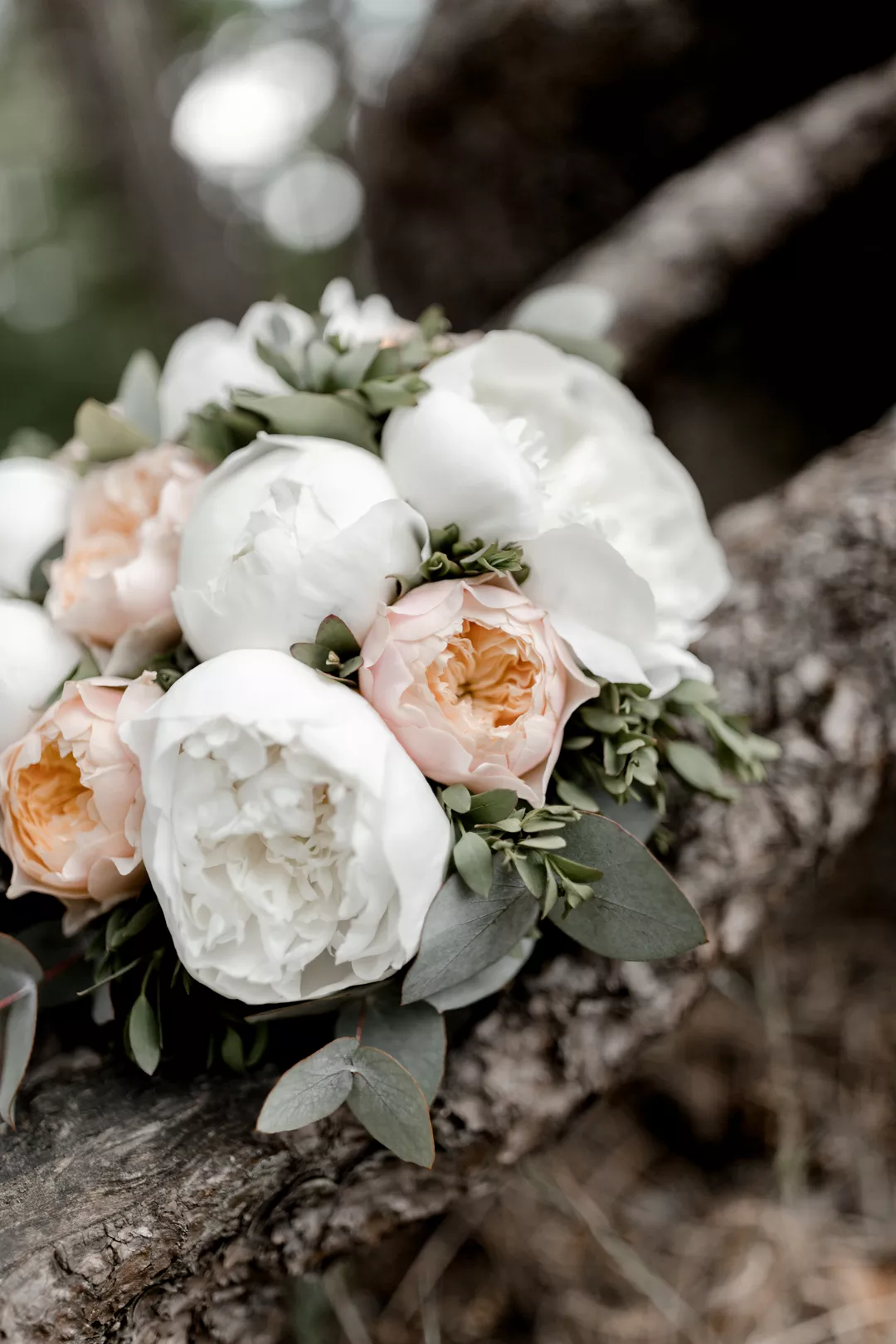 Mariage - Claire Lucet Photographe Reims
