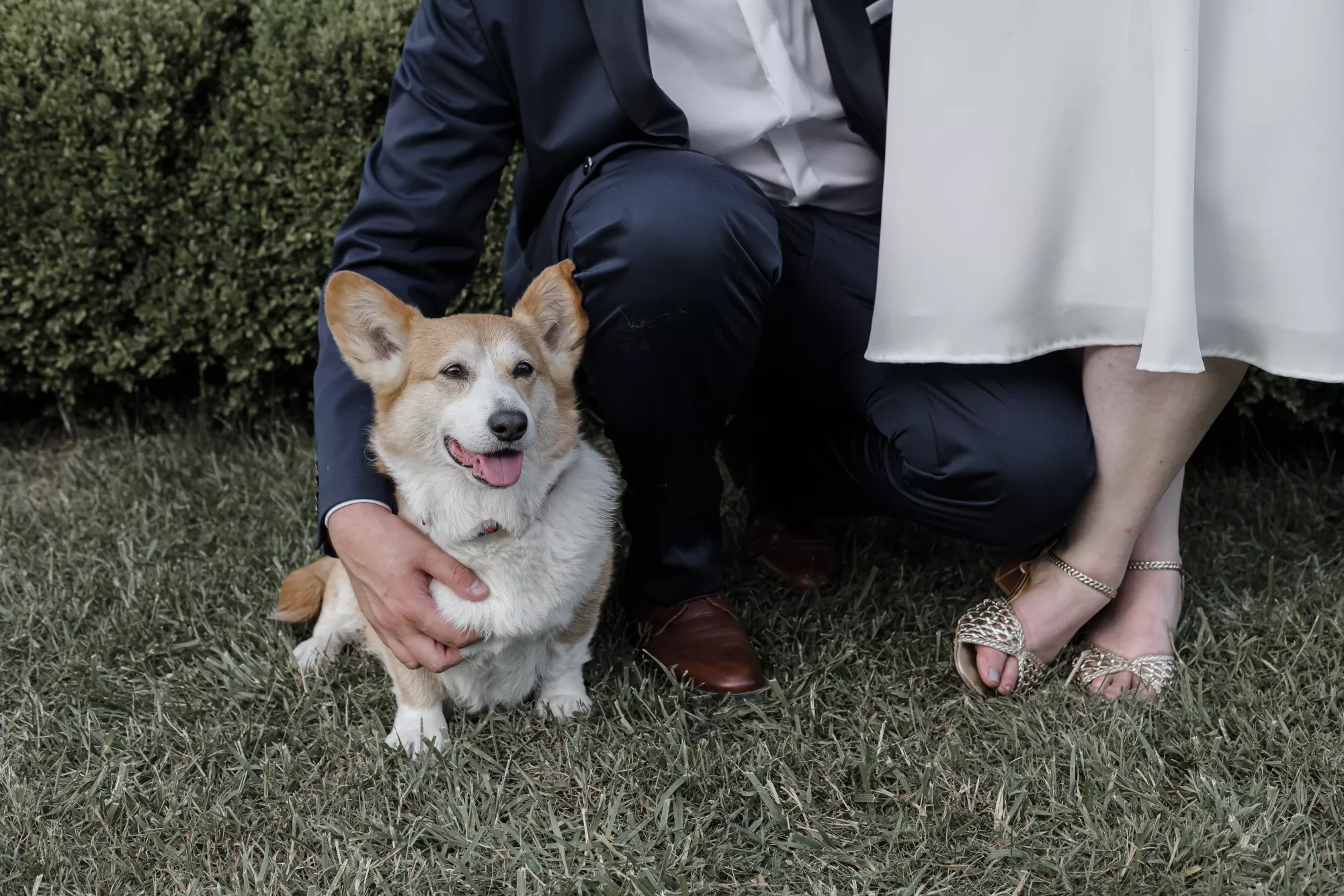 Mariage - Claire Lucet Photographe Reims