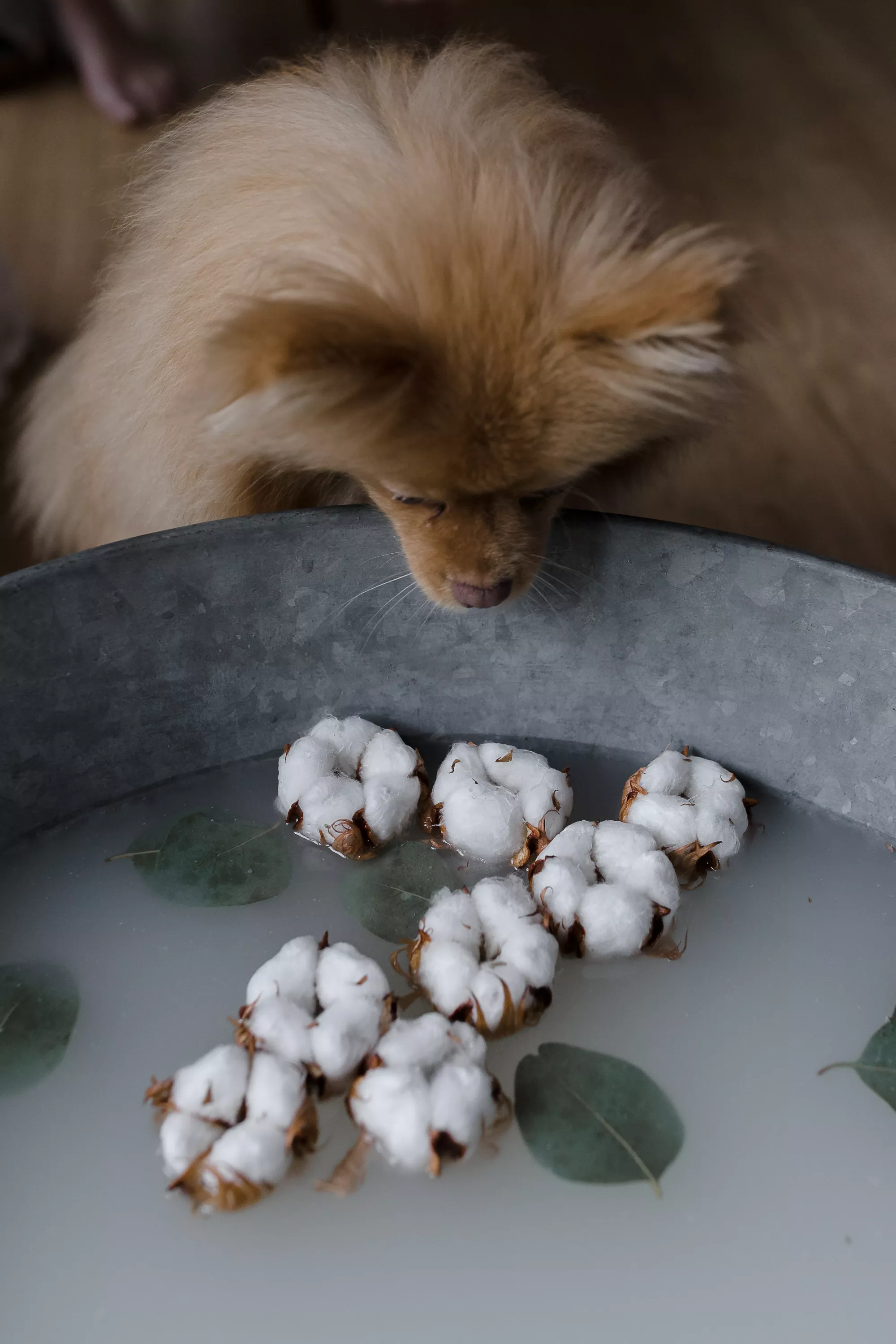 Bains enveloppés - Claire Lucet Photographe Reims