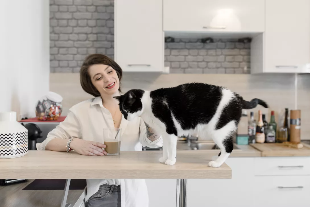 Léa & Thomas - Claire Lucet Photographe Reims