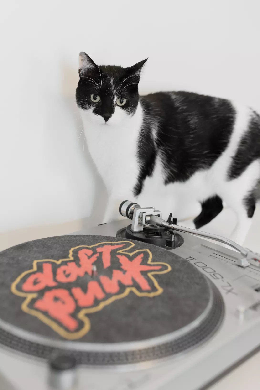 Léa & Thomas - Claire Lucet Photographe Reims