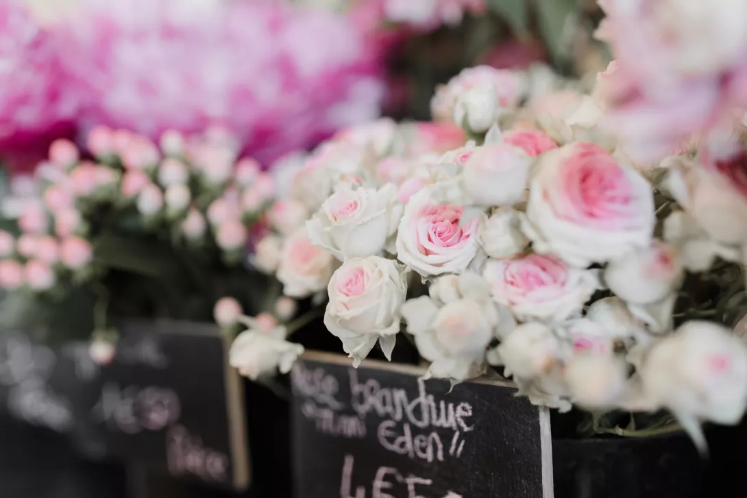 Fleur de Pollen - Claire Lucet Photographe Portrait Reims - Claire Lucet Photographe Reims