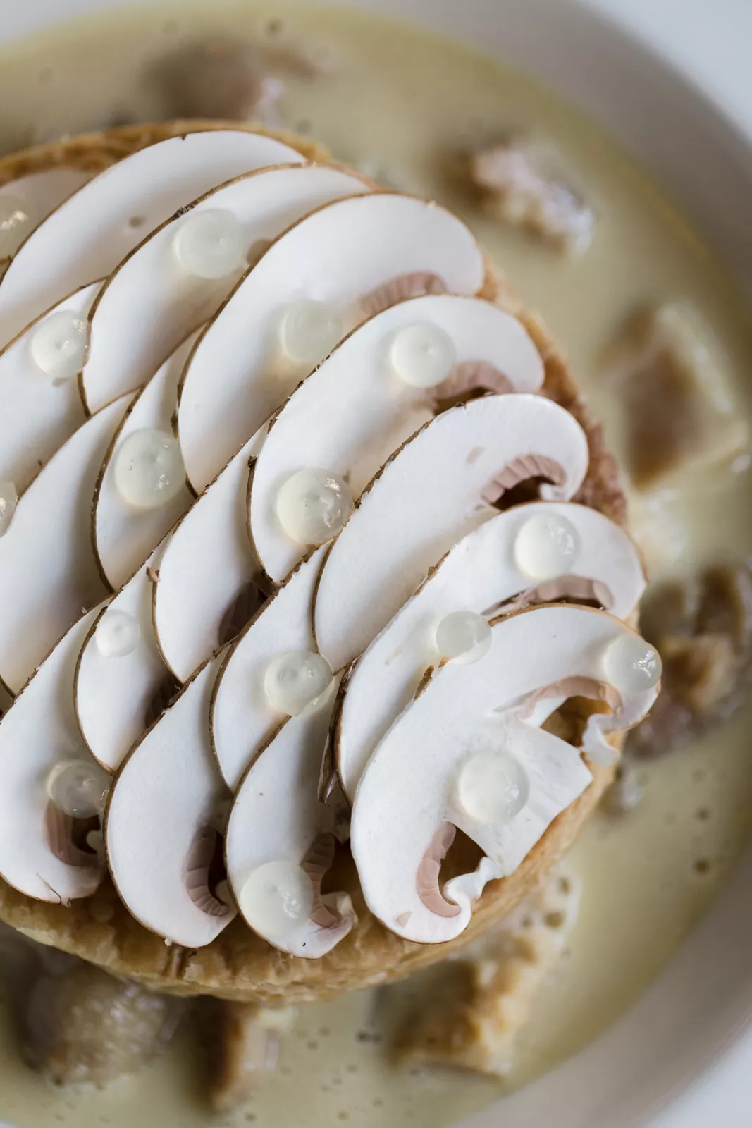 La Grande Georgette - Claire Lucet Photographe Reims