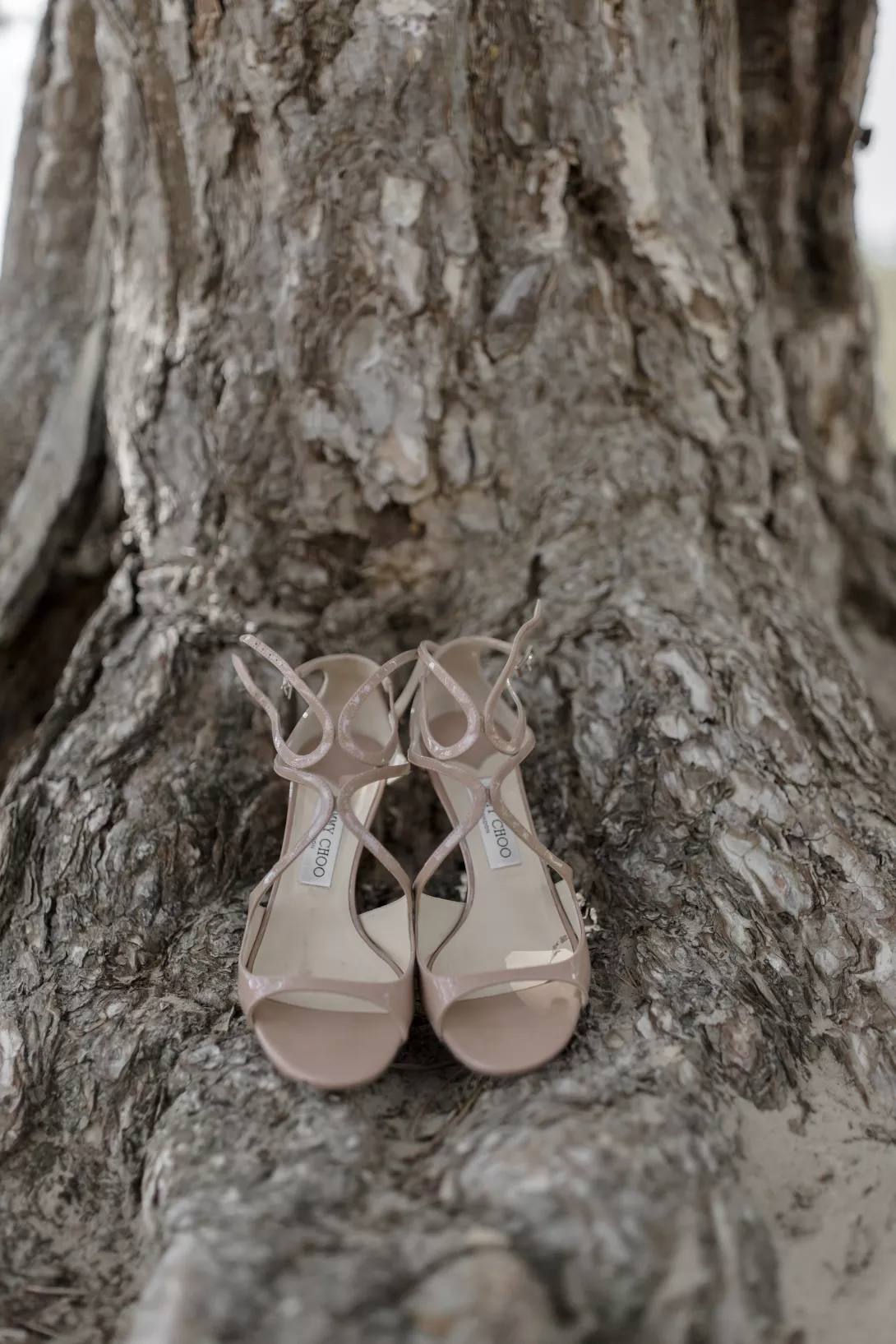 Mariage - Claire Lucet Photographe Reims