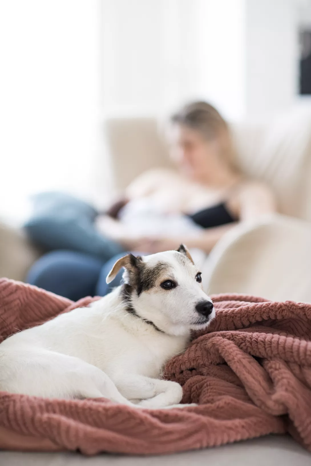 Julie & Etienne - Claire Lucet Photographe Reims