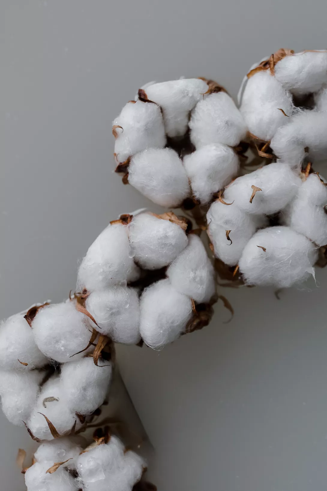 Bains enveloppés - Claire Lucet Photographe Reims