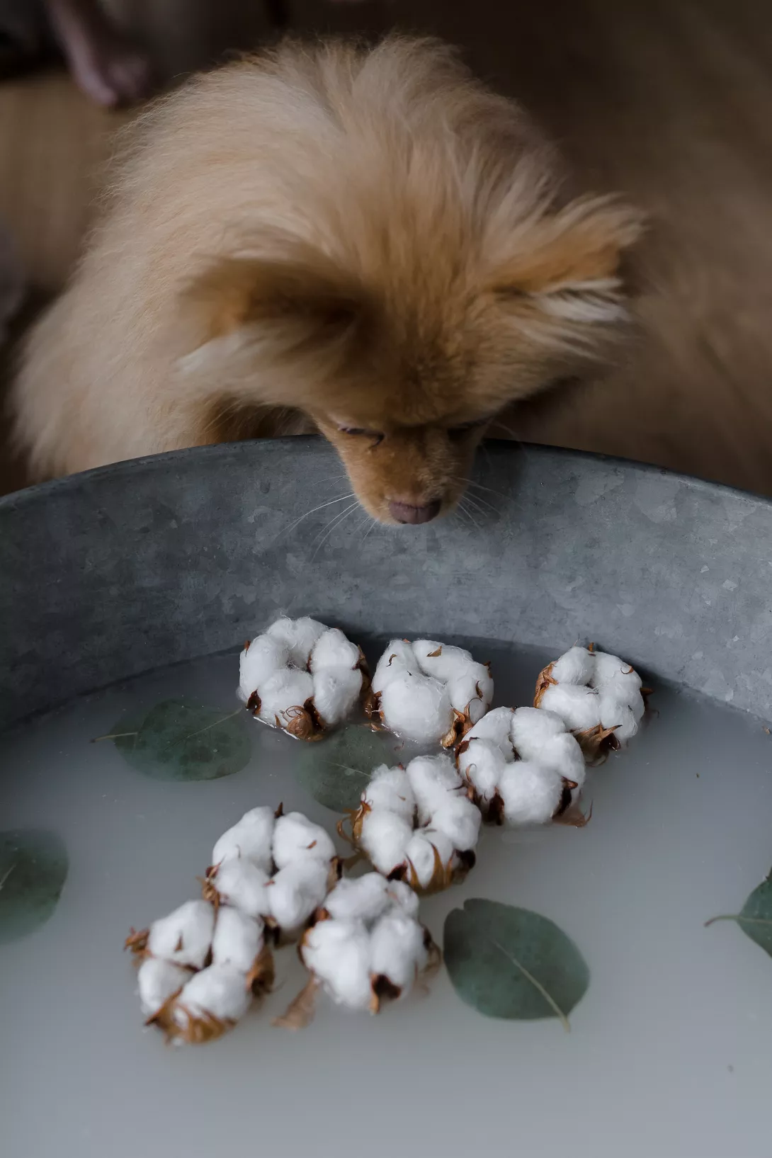 Bains enveloppés - Claire Lucet Photographe Reims