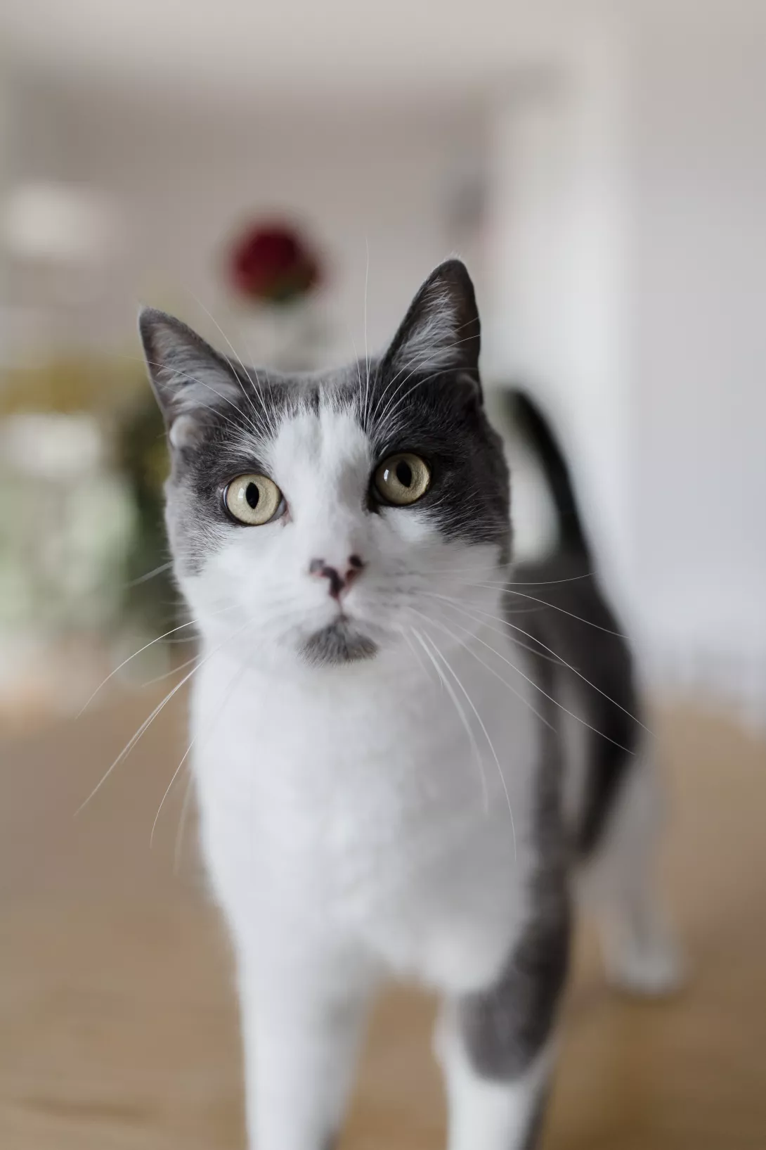Famille - Claire Lucet Photographe Reims