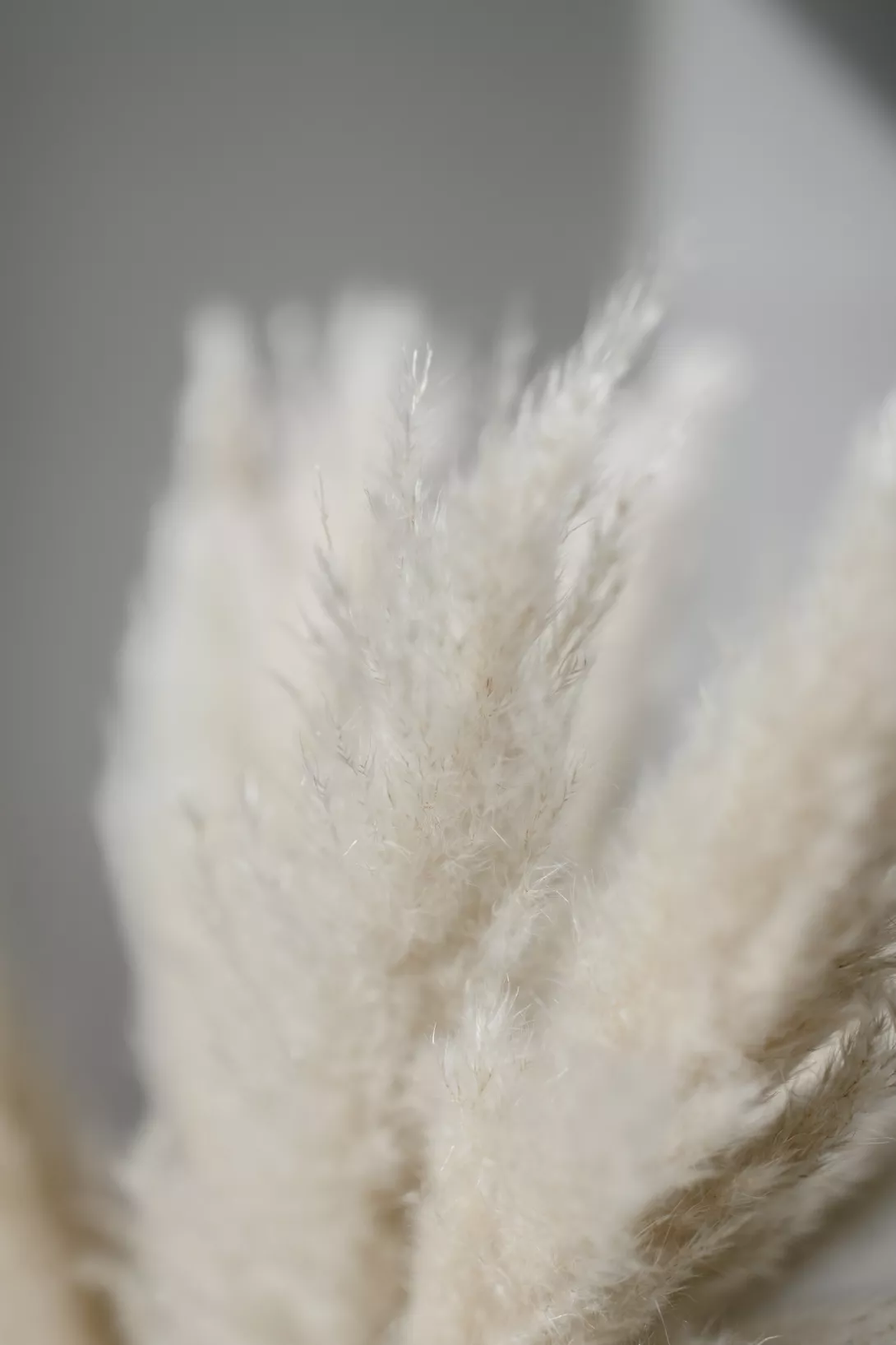 Portraits à Reims  - Claire Lucet Photographe Reims