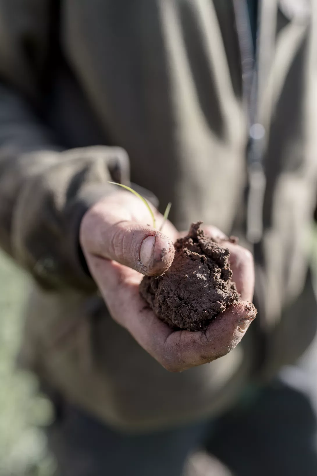 - Reportages métiers  - Claire Lucet Photographe Reims