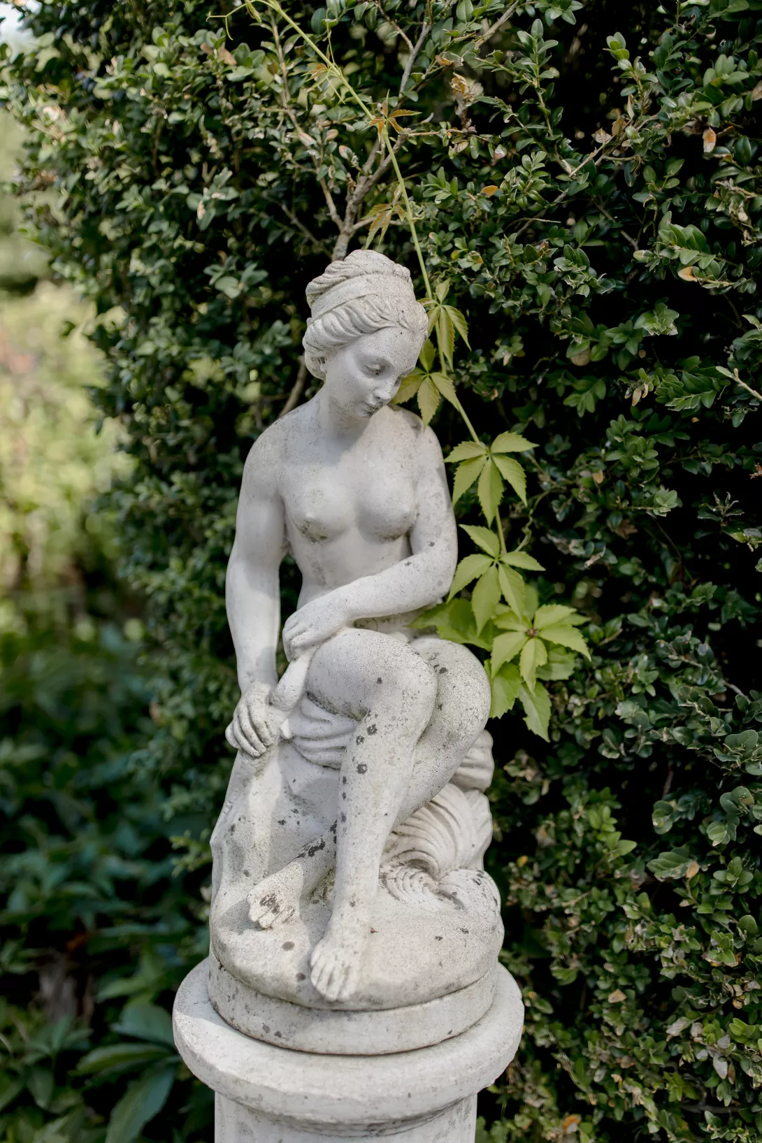 SAFRAN - fleuriste - wedding design en Champagne  - Claire Lucet Photographe Reims