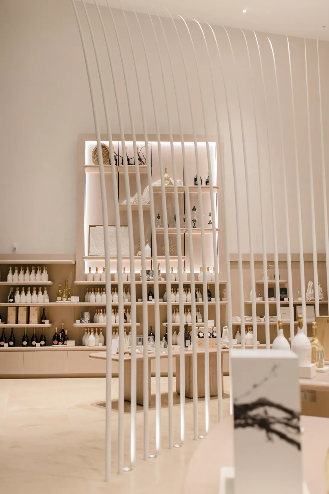 Évènements à Reims  - Claire Lucet Photographe Reims