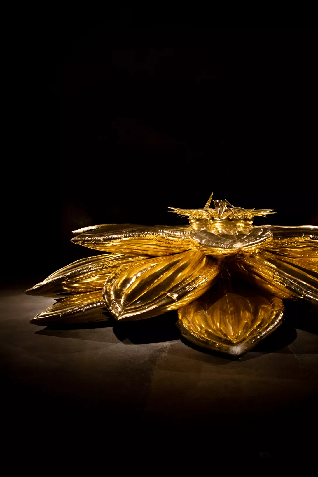 Évènements à Reims  - Claire Lucet Photographe Reims